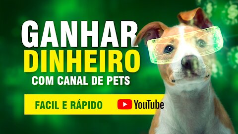 Como ganhar dinheiro com canal de pets na internet