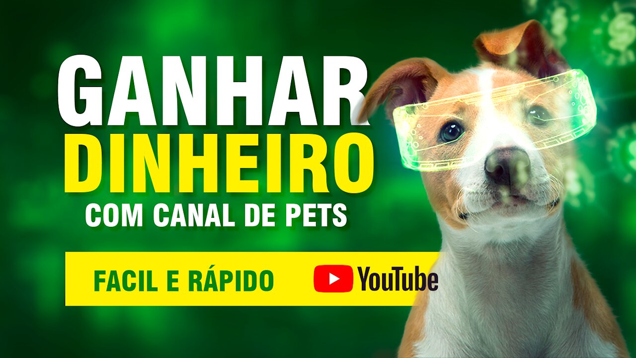 Como ganhar dinheiro com canal de pets na internet