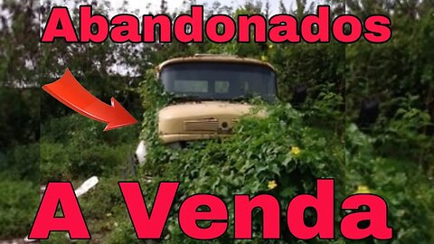 Caminhões Abandonados Repousando Brasil à Venda 📉 Oliveira Isaias