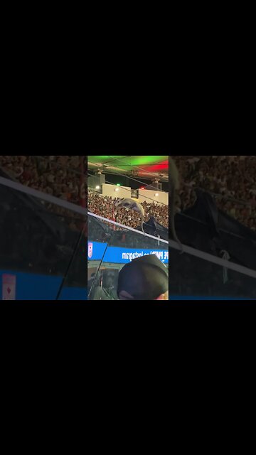 Gambá durante FlaFlu no Maracanã 2023