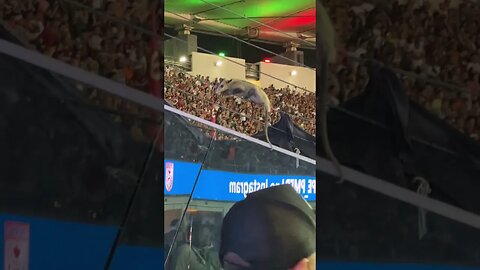Gambá durante FlaFlu no Maracanã 2023