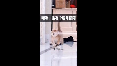 Funny