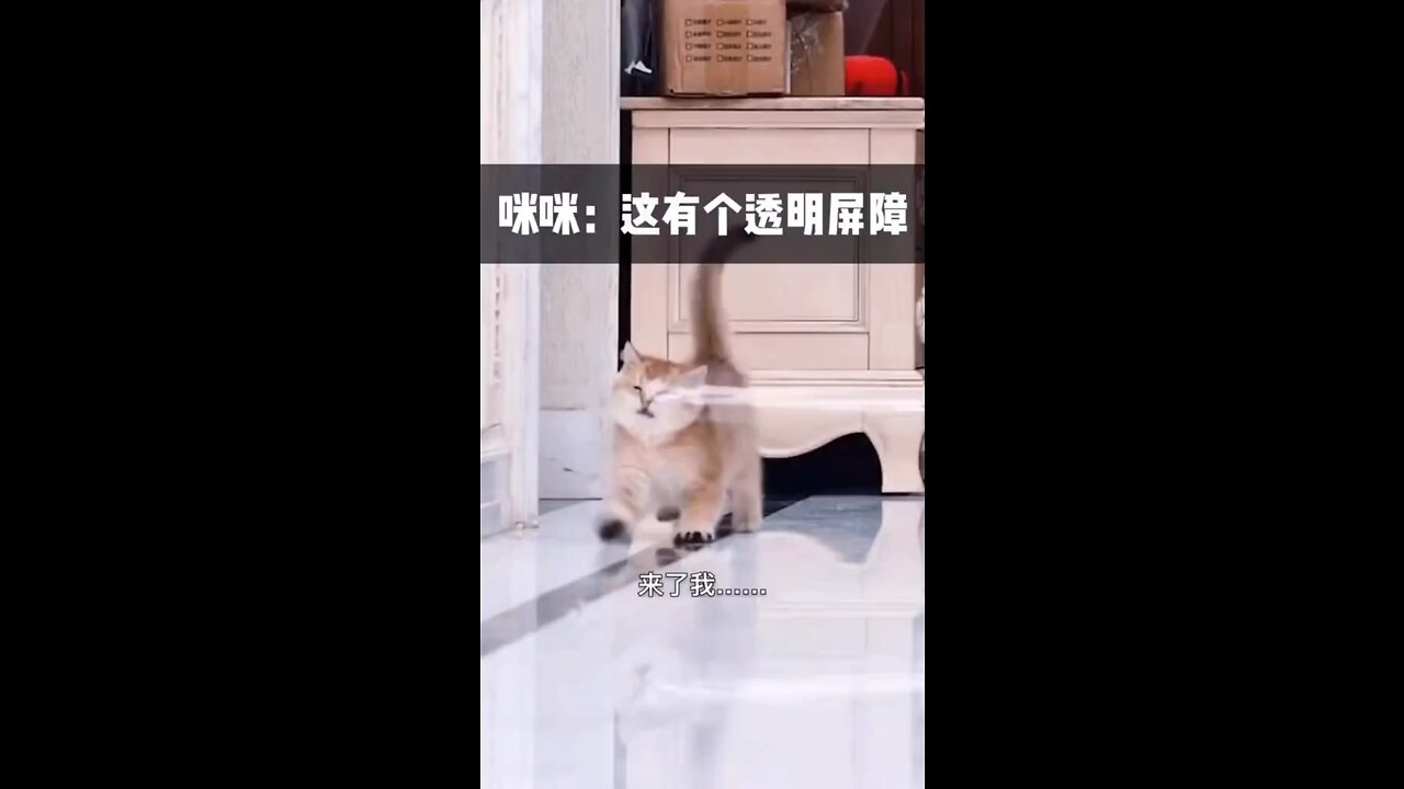 Funny