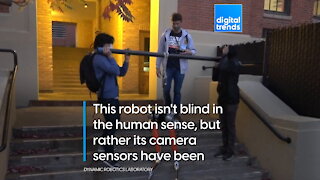 Watch this "blind" robot go up and down stairs