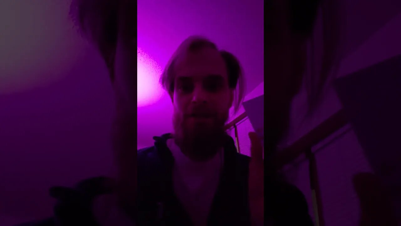 s2 e41 bass strobe