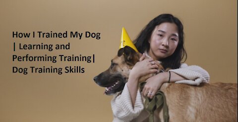 How I Trained My Dog | Learning and Performing Training| Dog Training Skills