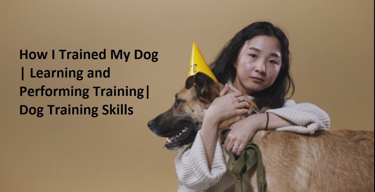 How I Trained My Dog | Learning and Performing Training| Dog Training Skills