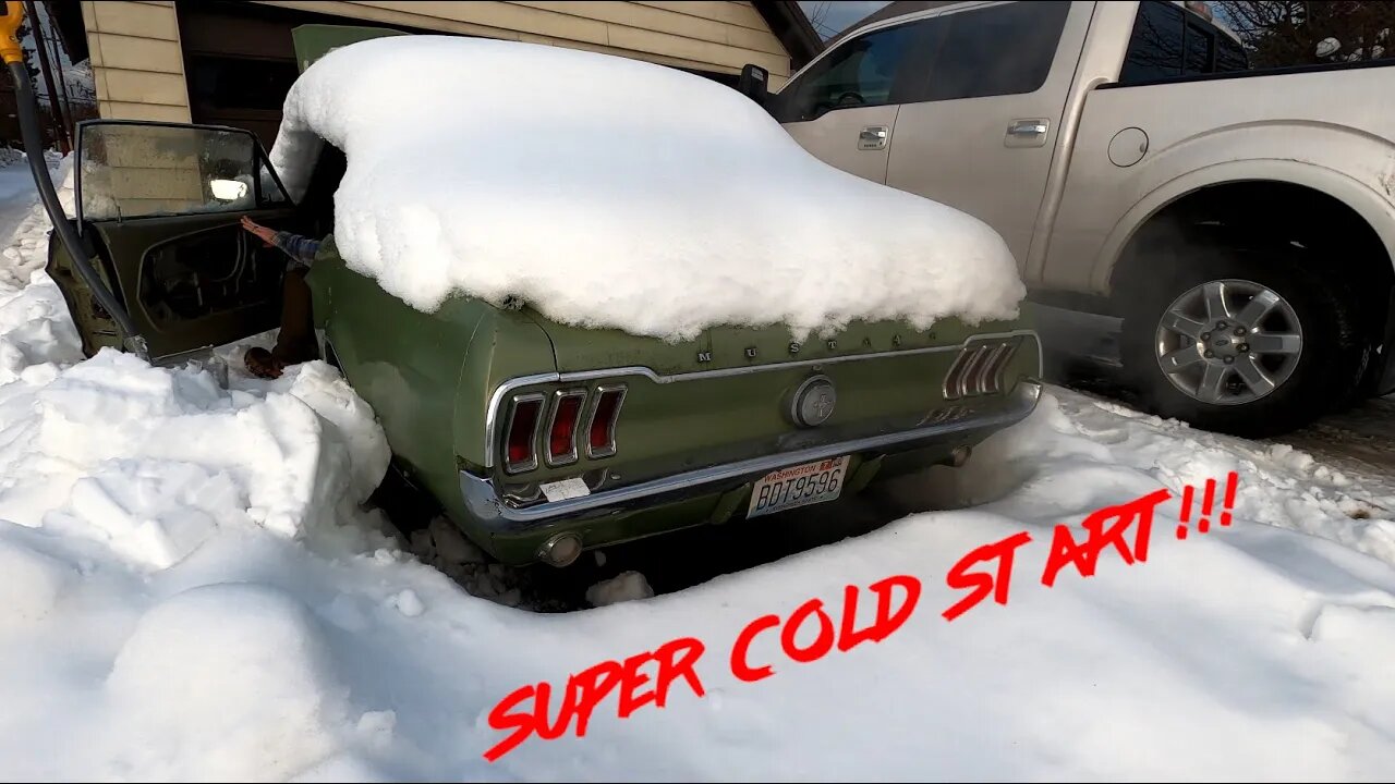 1967 Mustang Cold Start (First Start of 2023)