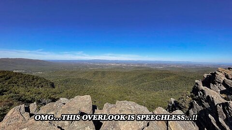 CHILLING ON HUMPBACK ROCKS