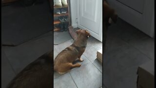 When she is waiting for dad to come home