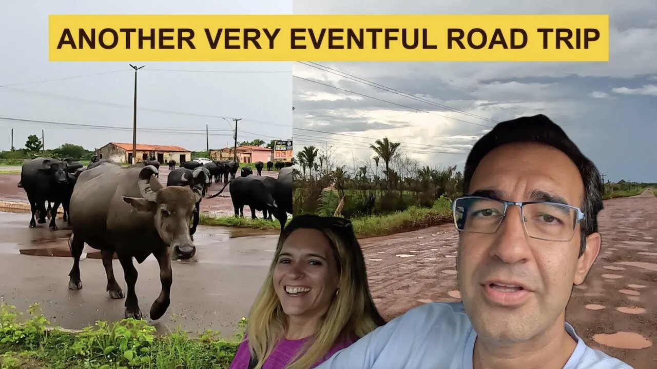 WHY OUR ROAD TRIPS ARE ALWAYS FULL OF SURPRISES?