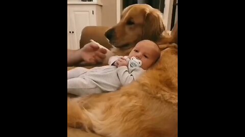 cute 🥰🥰