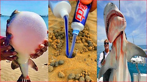 Catching Seafood 🦀🐙 ( Crocodiles, Octopus Eat People - Tik Tok #003