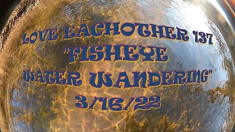 LE137 "FISHEYE WATER WANDERING" 3 16 22