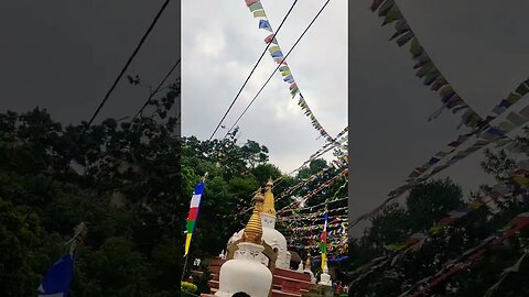 Nepal Swayambhunath #viral #travelvlog #youtubeshorts #trending