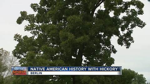 Native Spirit: Hickory Tree