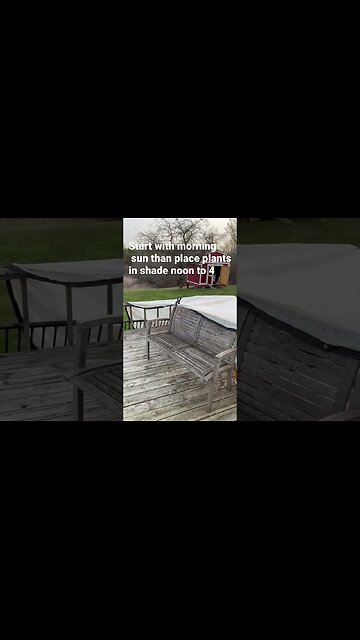 Acclimating plants #bubba #gardeningtips #garden
