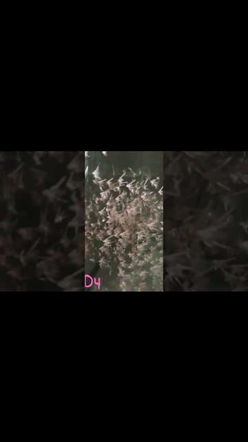 Sooo awesome to watch them school together 🤩