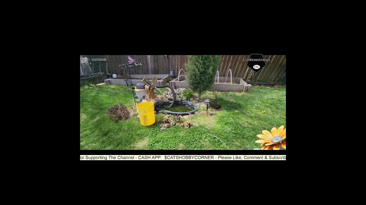 #gardendecorideas - Pond Needs a Refresher - #catshobbycorner