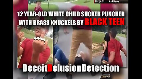 12 YEAR-OLD CHILD SUCKER PUNCHED WITH BRASS KNUCKELS BY BLACK TEEN-DECIETDELUSIONDETECTION