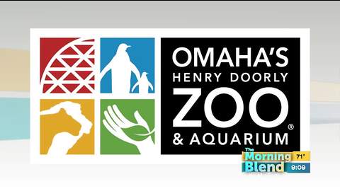 Omaha's Zoo and Aquarium