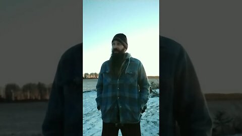 #skitsbystrangedanimal #comedyskits