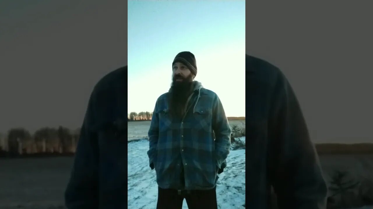 #skitsbystrangedanimal #comedyskits