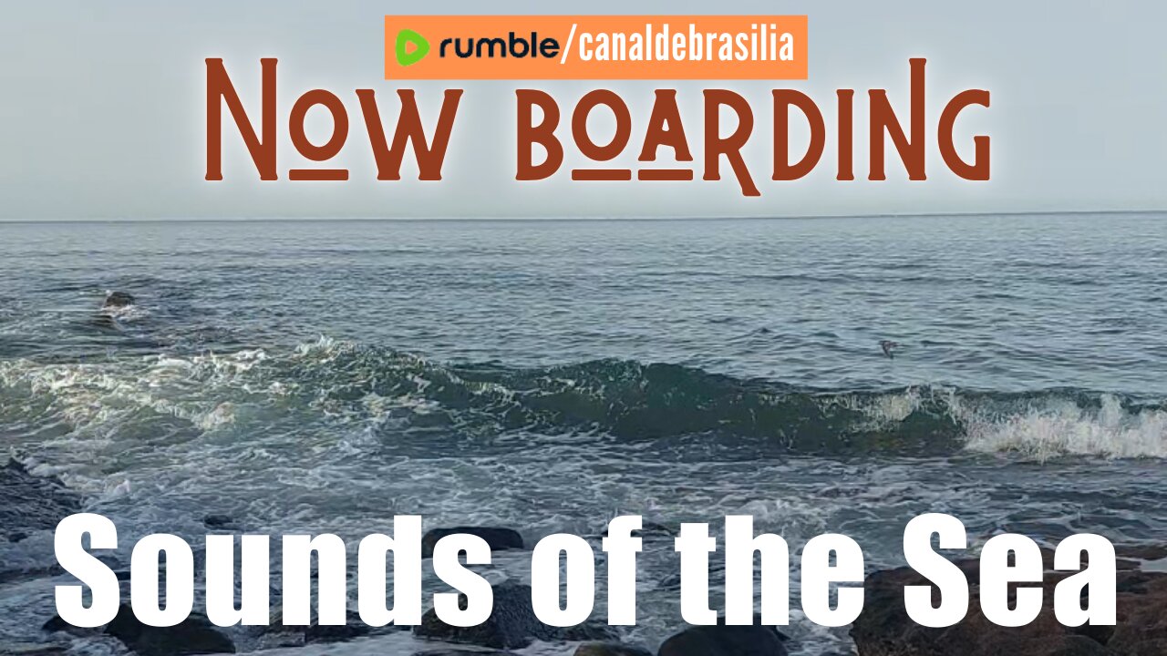 Sounds of the Sea