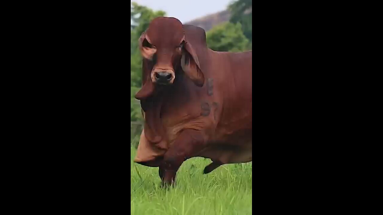 Beautiful