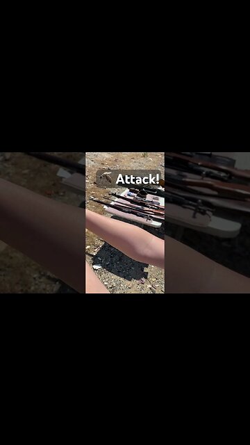 Young Shooter Gets Attacked While Shooting, handles it well! #gun #saftyfirst #range