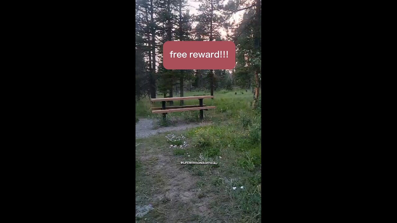 Free reward!!!! Like it, share it and comments