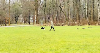 Dog and the owner are happy together in the nature!