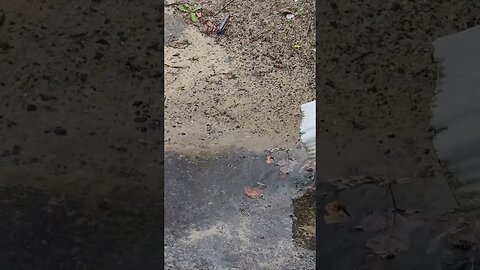 cold rainy day