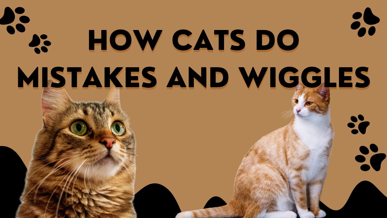 See the Mistakes and Wiggles of this Cat