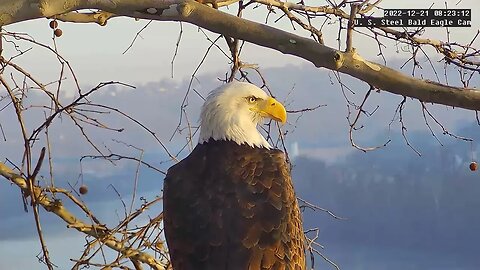 USS Eagles - Magical Close-Up of Mom