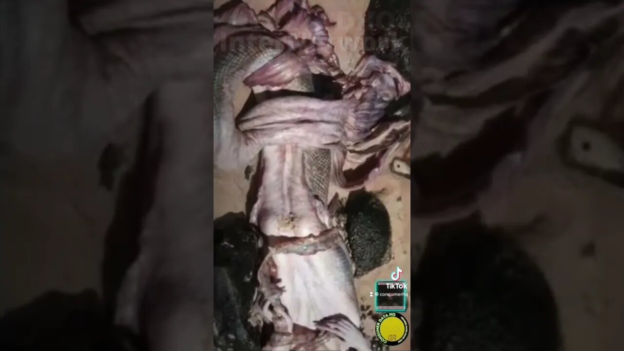 #mermaid on video
