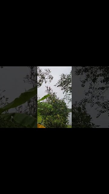 #HURRICANEIAN🌀 THE QUIET BEFORE THE STORM. #FLORIDA #TRAVELINGTARDIS #HURRICANE #SUBSCRIBE #SHORTS