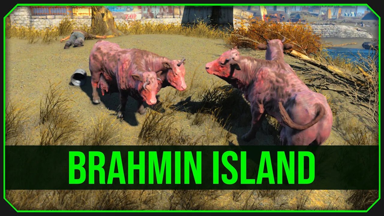 Fallout 4 | Brahmin Island - Unmarked Location