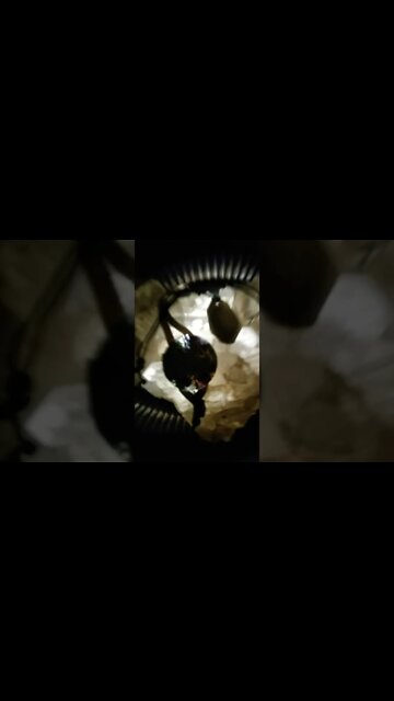 "Øõööœooooommmmmm..."