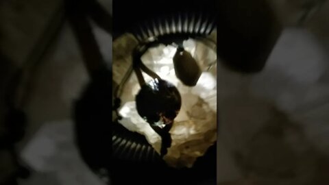 "Øõööœooooommmmmm..."