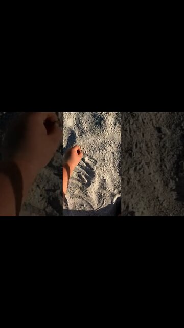 jewelry detecting #shorts