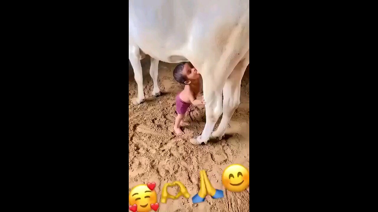 little boy