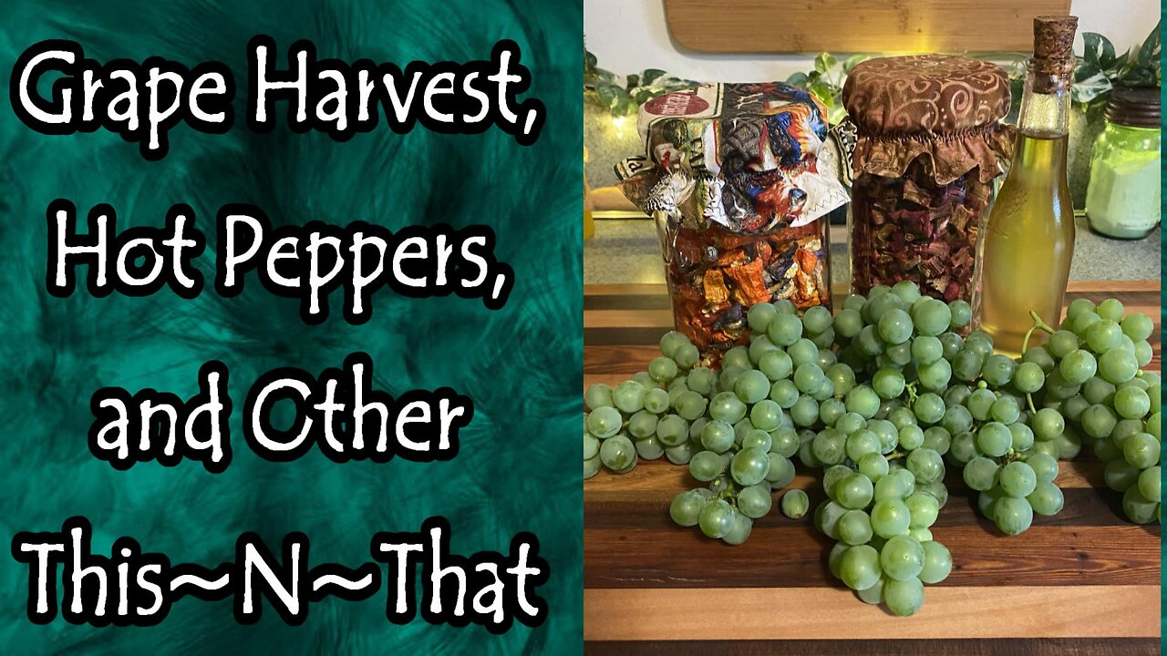 Grape Harvest, Hot Peppers, and Other This~N~That