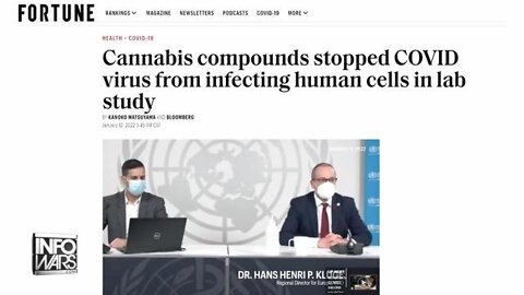 Worldwide | Cannabis Compounds Stopped COVID Virus from Infecting Human Cells in Lab Study