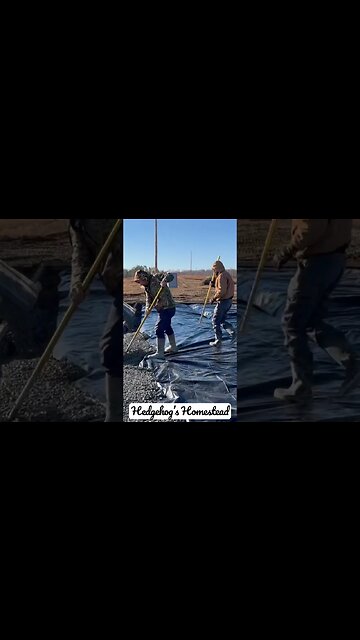 Hedgehogs Homestead pouring cement