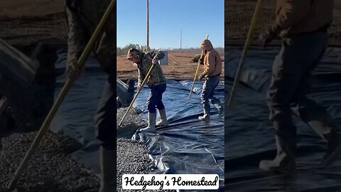 Hedgehogs Homestead pouring cement