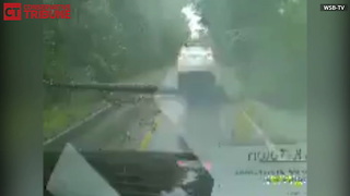 Tree Falls On Car During Hurricane Weather