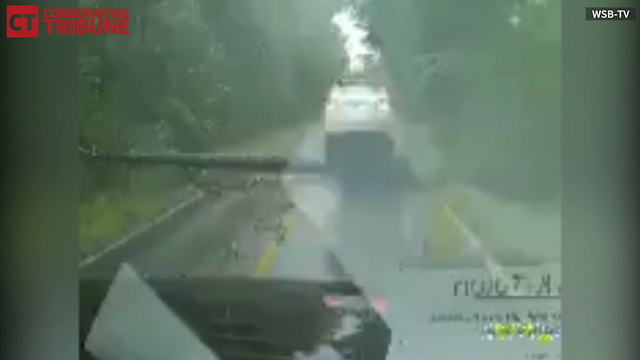 Tree Falls On Car During Hurricane Weather