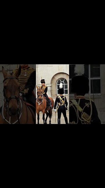 Horse biting the officer #horseguardsparade