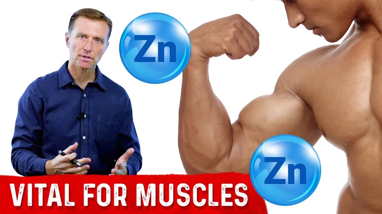 The Importance of Zinc for Muscles